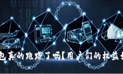 GoPay钱包真的跑路了吗？用户们的权益如何保障？