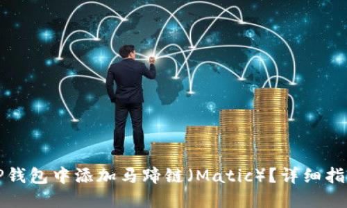 怎么在TP钱包中添加马蹄链（Matic）？详细指南与技巧