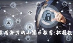 2023年最有潜力的山寨币推