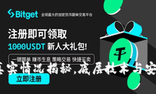 TP钱包：真实情况揭秘，底层技术与安全性分析