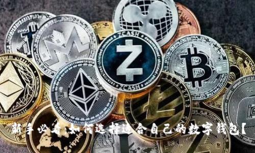 新手必看：如何选择适合自己的数字钱包？
