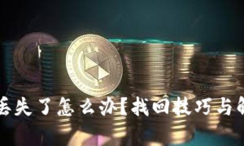 TP钱包转账丢失了怎么办？找回技巧与解决方案解析