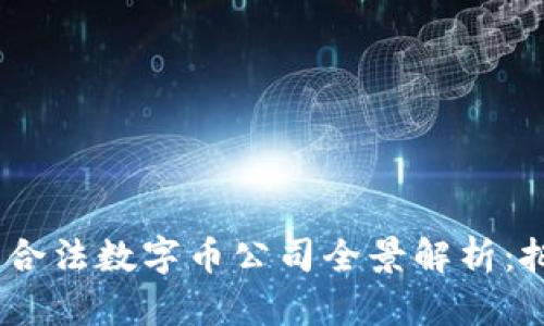 2023年中国合法数字币公司全景解析：把握市场机会