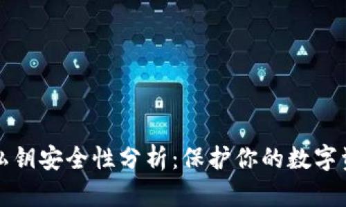 比特派钱包私钥安全性分析：保护你的数字资产不被盗取