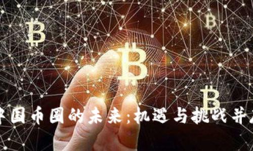 中国币圈的未来：机遇与挑战并存