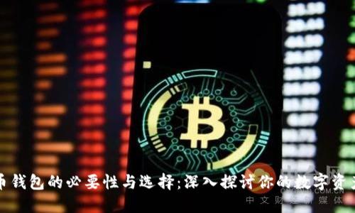虚拟币钱包的必要性与选择：深入探讨你的数字资产安全