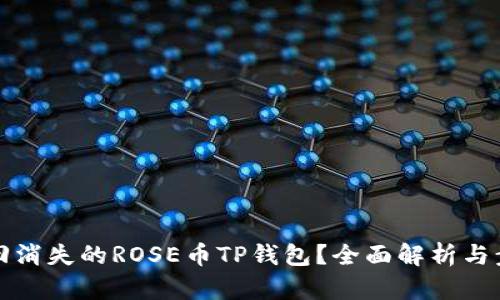 如何找回消失的ROSE币TP钱包？全面解析与步骤指南