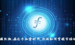 币圈热潮：在这个加密时