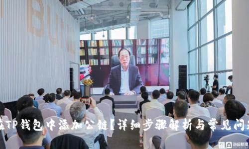 如何在TP钱包中添加公链?详细步骤解析与常见问题解答