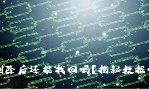 TP钱包删除后还能找回吗?揭秘数据恢复技巧